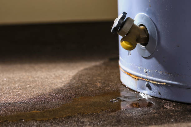 Best Carpet water damage restoration  in Makawao, HI