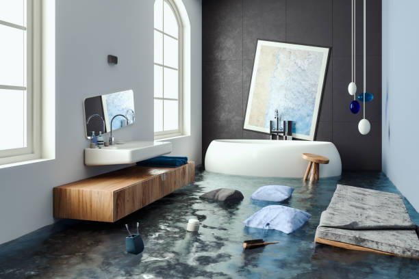 Best Local water damage restoration  in Makawao, HI