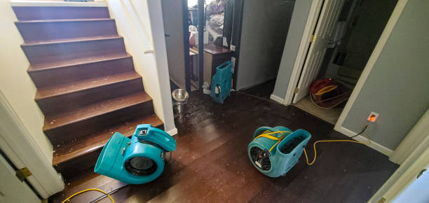 Best 24/7 water damage repair  in Makawao, HI