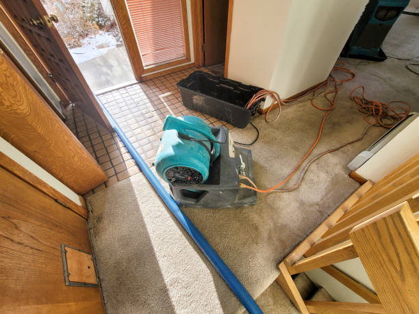 Best Ceiling water damage repair  in Makawao, HI