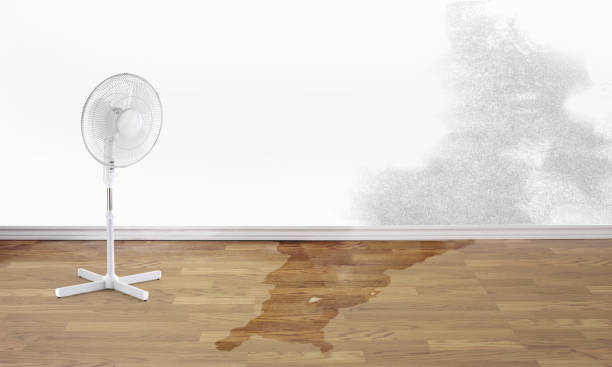  Makawao, HI Water damage restoration Pros