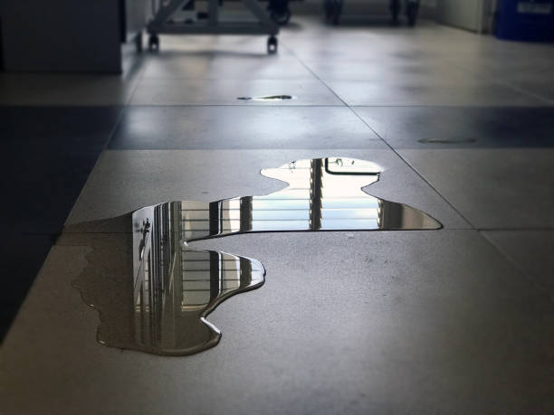 Best Commercial water damage restoration  in Makawao, HI