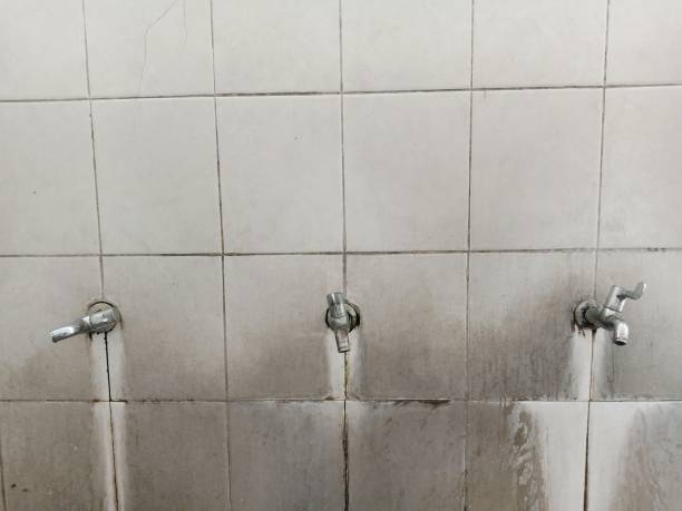 Best Water damage restoration insurance claims  in Makawao, HI