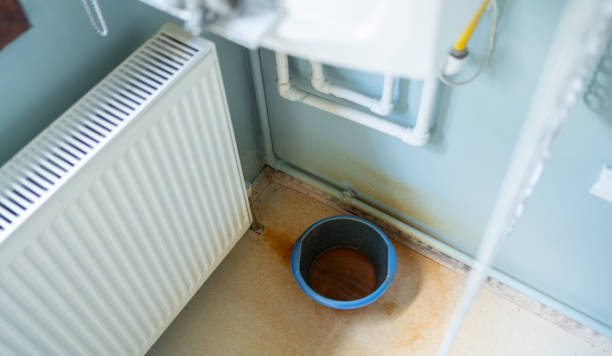 Water damage restoration mold remediation in HI