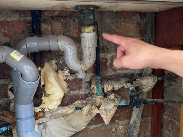 Best Water damage cleanup near me  in Makawao, HI