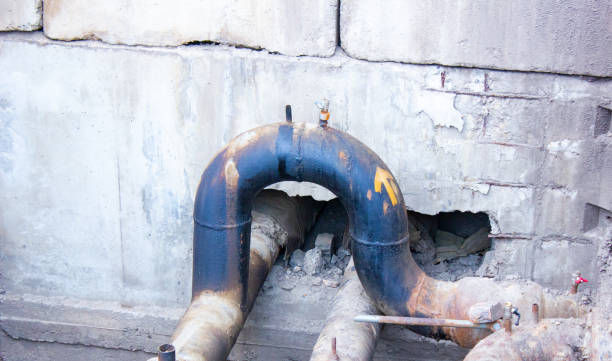 Best Basement water damage restoration  in Makawao, HI