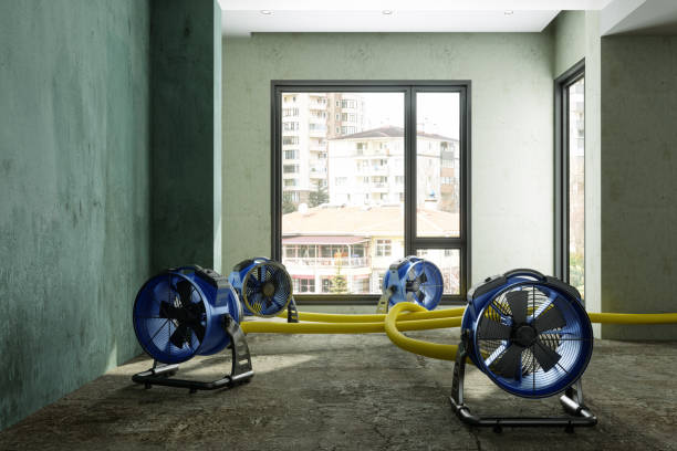 Best Water damage contractors near me  in Makawao, HI